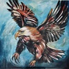 Seeadler_02052026_800x810